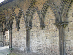 peterborough cathedral cloister