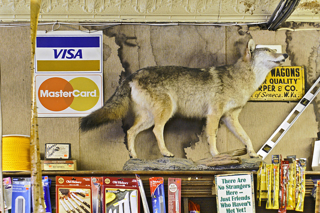 Season of the Wolfe – Harper's Old Country Store, Seneca Rocks, West Virginia