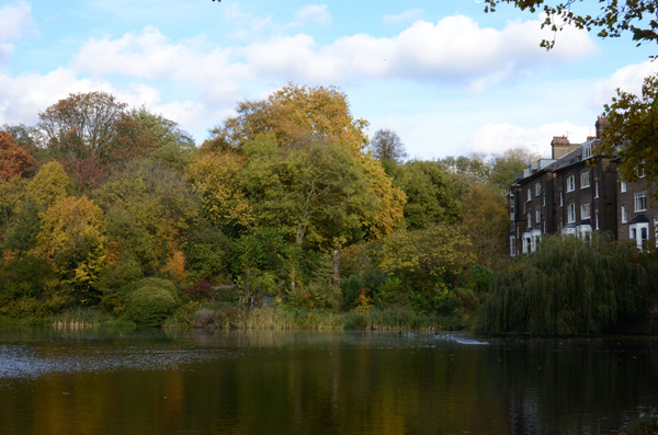 Hampstead Ponds, Autumn