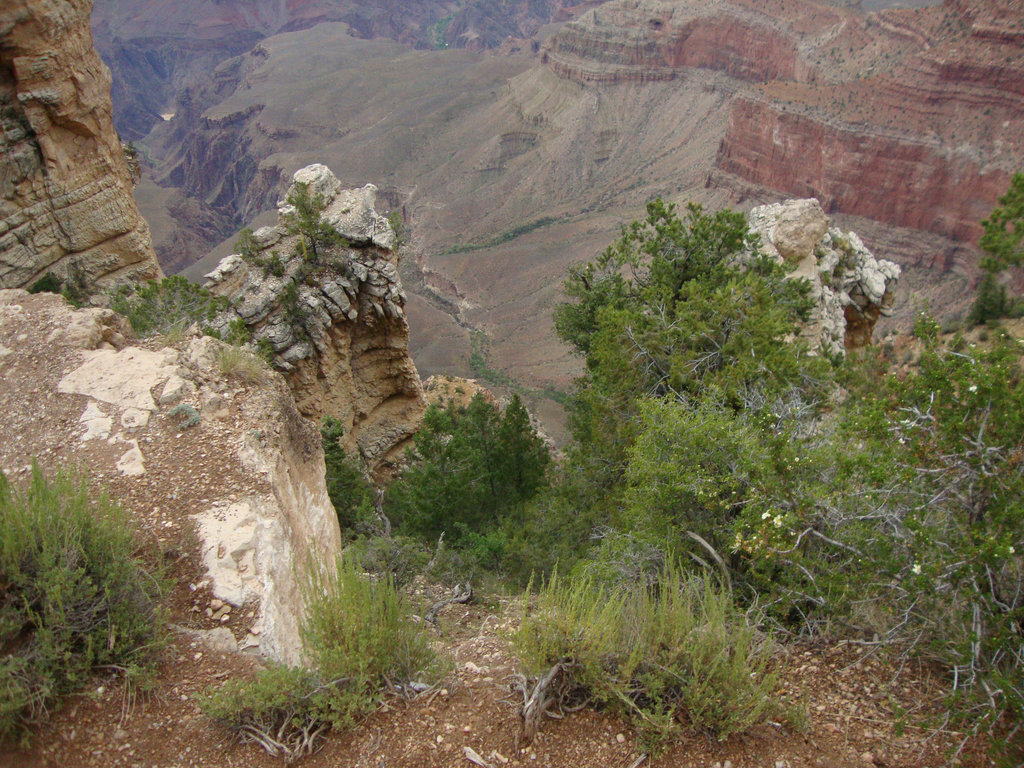 grand canyon 336