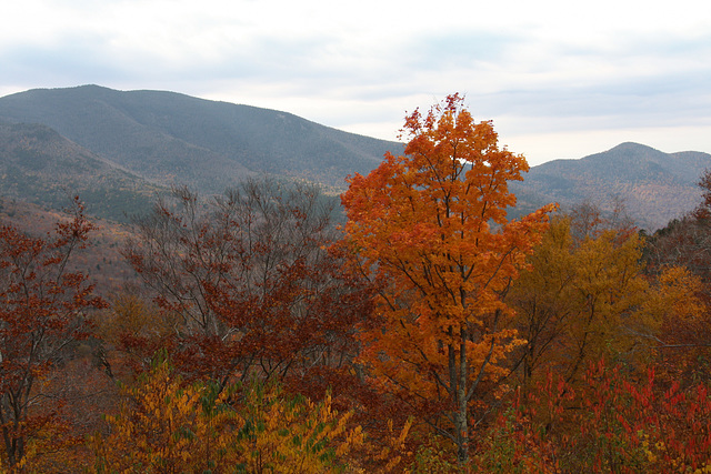 Grey skies, bright foliage