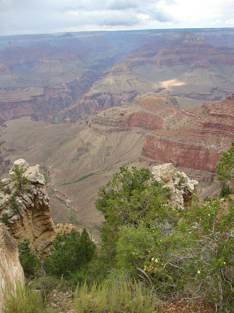 grand canyon 337