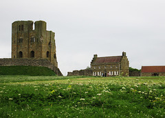 Scarborough Castle & meadow