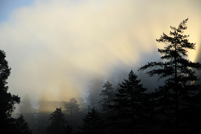 Sunrise at Smith River