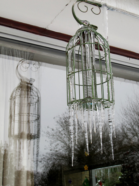 Icy bird feeder