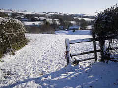 Dorset in the snow