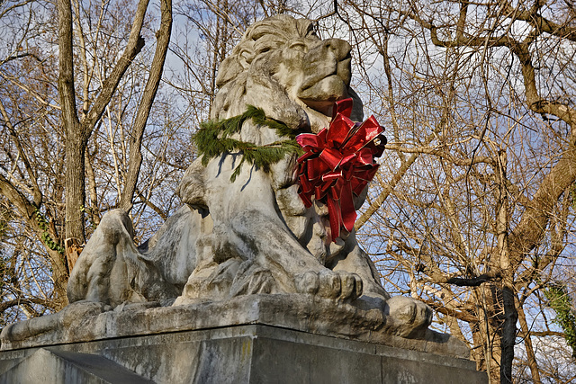 The Lion in Winter – Taft Bridge, Connecticut Avenue N.W., Washington, D.C.