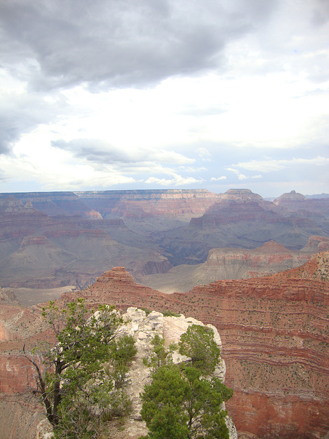 grand canyon 321