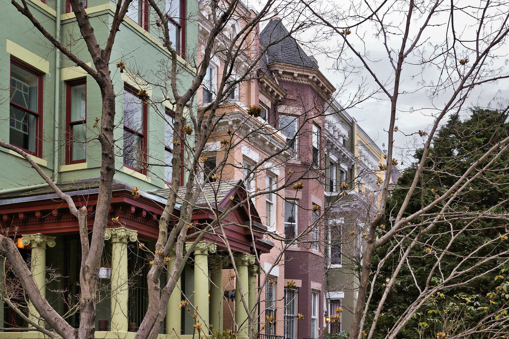 The Colour of Winter – Calvert Street N.W., Washington, D.C.