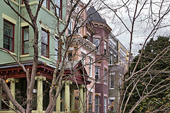 The Colour of Winter – Calvert Street N.W., Washington, D.C.