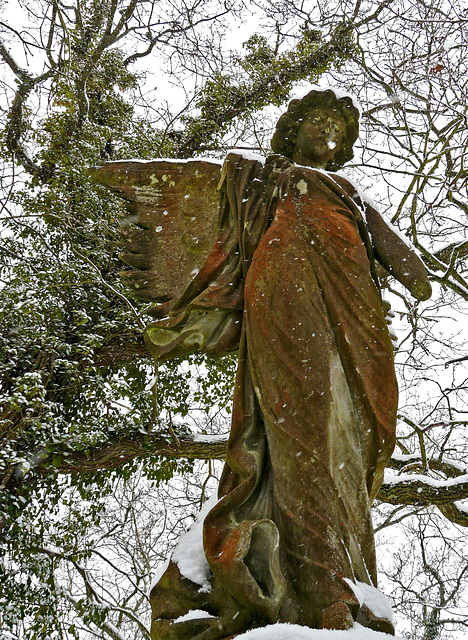 Tattered but Beautiful Tattered but Beautiful