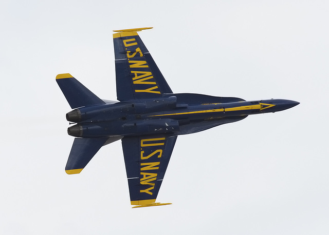 United States Navy Blue Angels