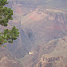 grand canyon 326