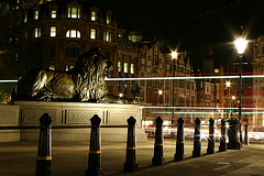 Trafalgar Square Lion