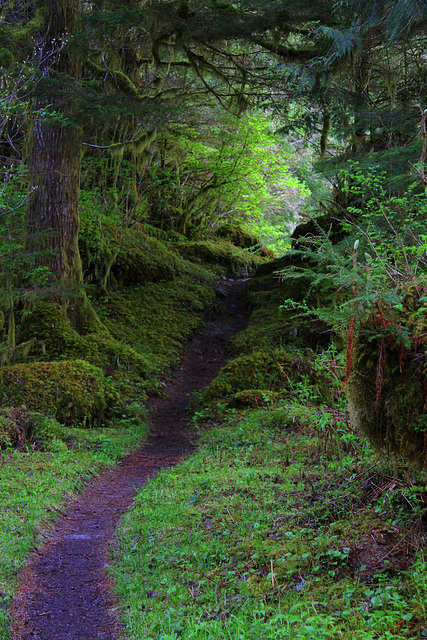 This is what I love about hiking!