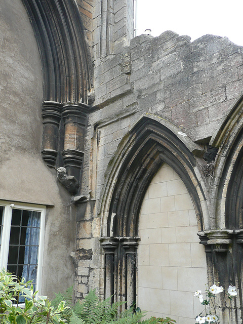 peterborough infirmary ruin