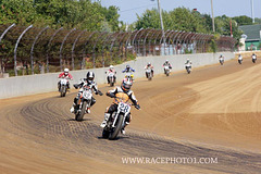 IMG_3487 copy