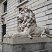 Löwe im Hof des Rathauses
