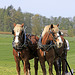 71st International Plowing Match