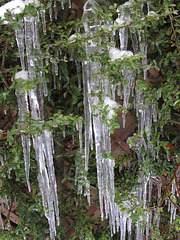 Icicles