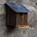 Single bedroom property to let, original Ballachulish slate roof: only attractive birds need apply...