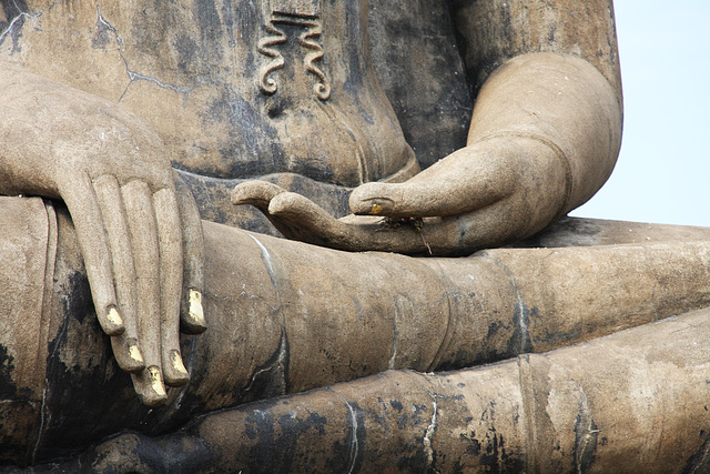 Buddha's Hands