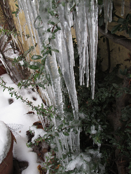 Icicles