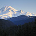 Mount Rainier Morning