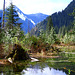 Beaver Ponds along the Baker River Trail