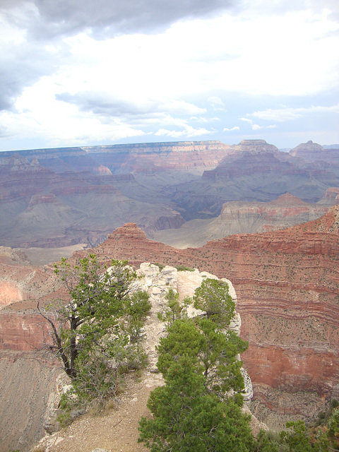 grand canyon 320