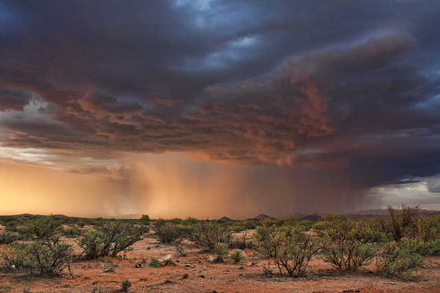 Monsoon Bliss