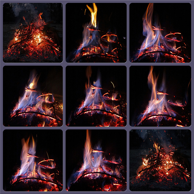 Fire Dragon Dance Collage Fire Dragon Dance Collage
