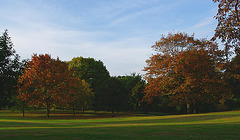 Greenwich Park October