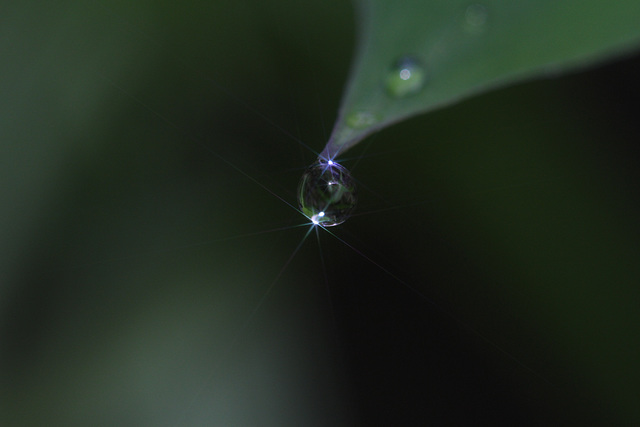 Droplet