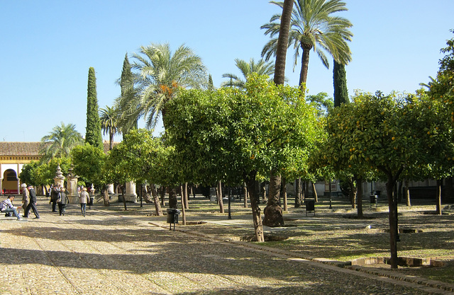 Patio de los Naranjos