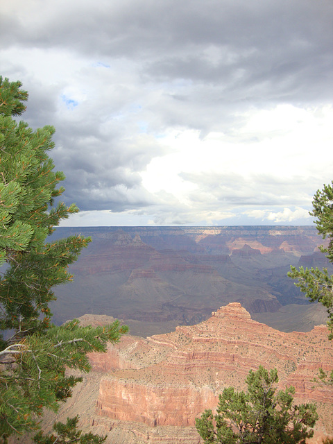 grand canyon 302