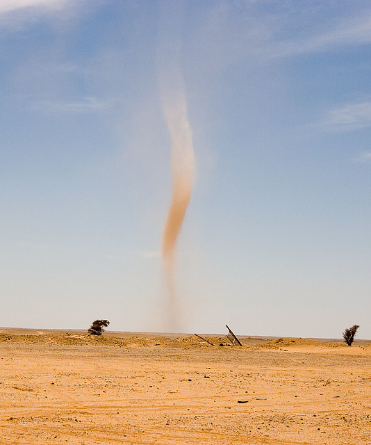 Dust Devil