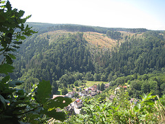 Blick auf Treseburg