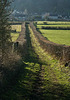 Footpath in Yealand Redmayne