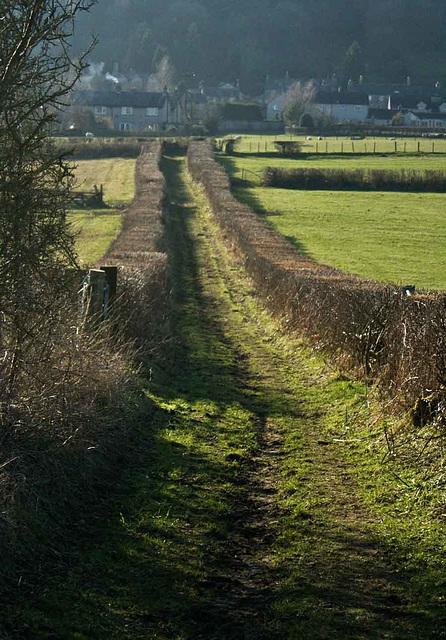 Footpath in Yealand Redmayne