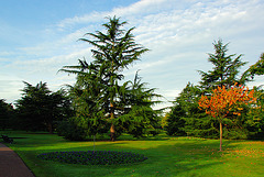 Greenwich Park October