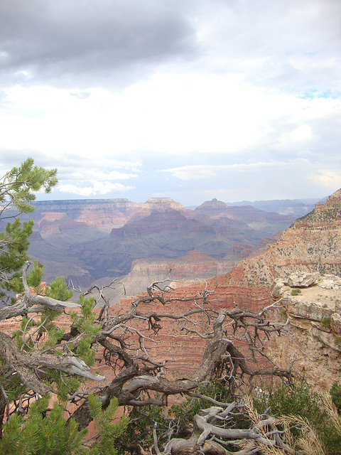 grand canyon 310