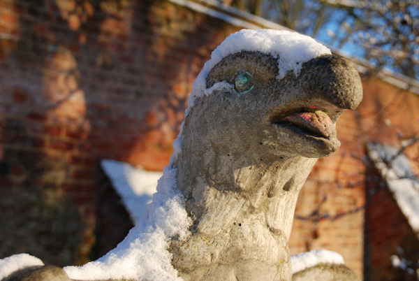 Snow-crested eagle