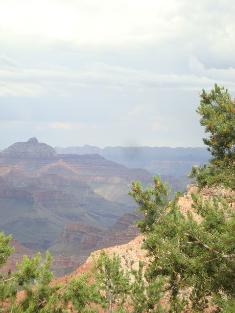 grand canyon 299