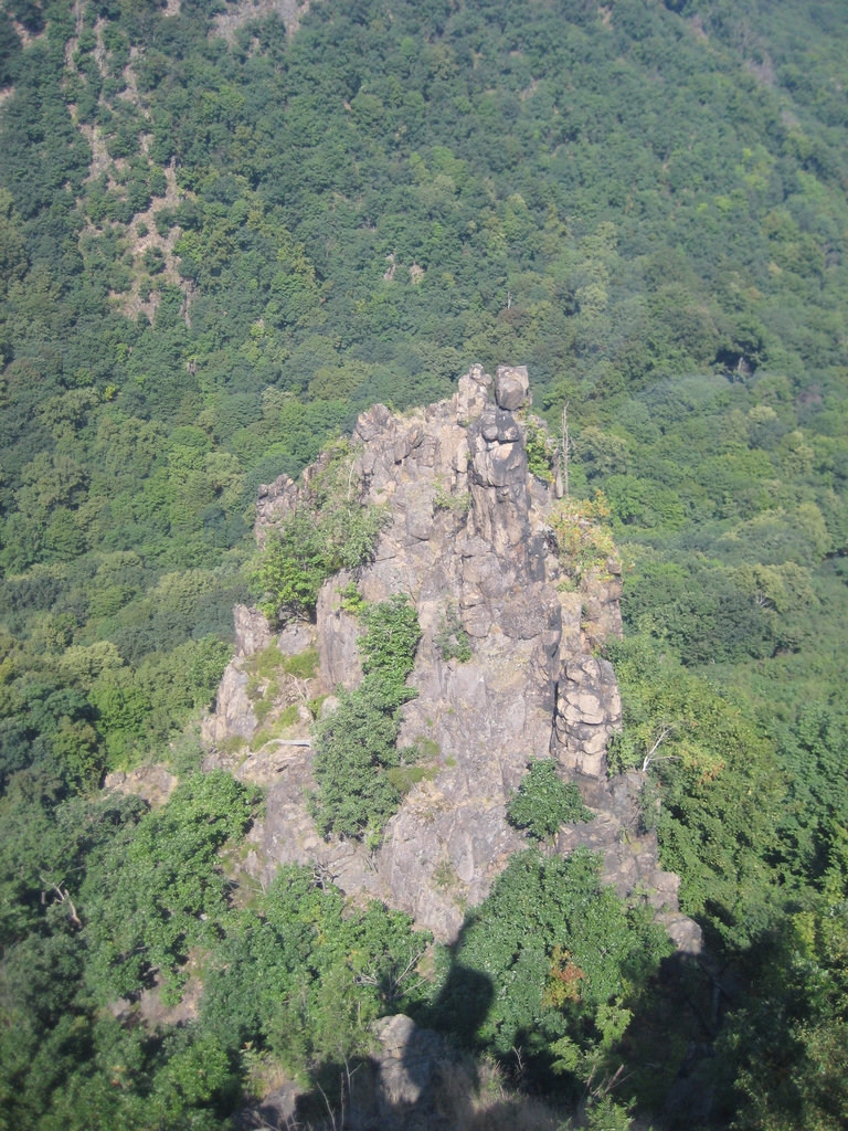 Blick aus der Seilbahn