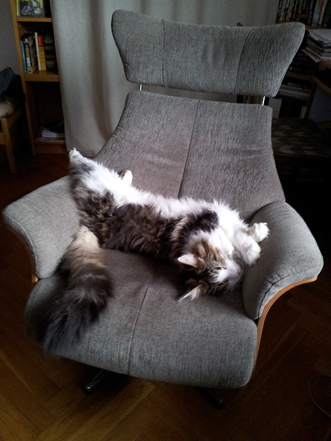 Ok, this is the large sofa-chair