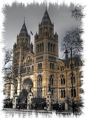 Natural History Museum