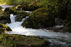 Deschutes River