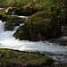 Deschutes River