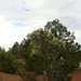 grand canyon 292